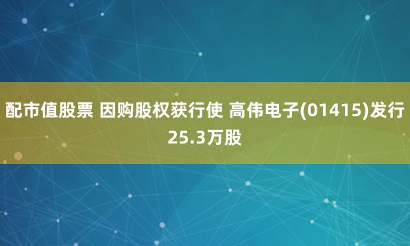 配市值股票 因购股权获行使 高伟电子(01415)发行25.3万股