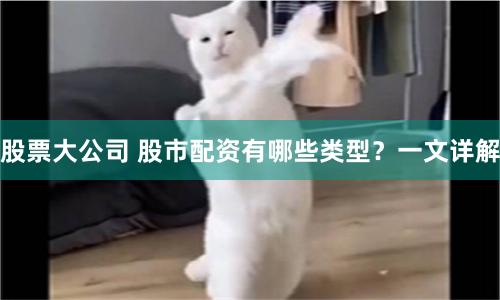 股票大公司 股市配资有哪些类型？一文详解