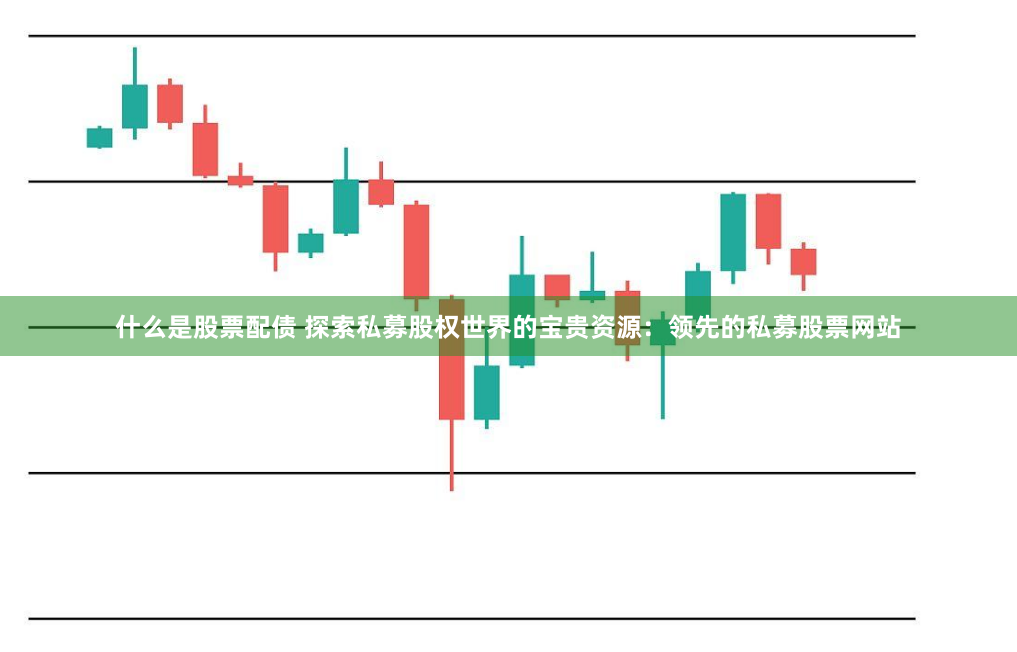 什么是股票配债 探索私募股权世界的宝贵资源：领先的私募股票网站